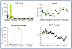Messung und Modellierung von Treibhausgasemissionen und Stickstoffauswaschung in Rohstoffpflanzenfruchtfolgen