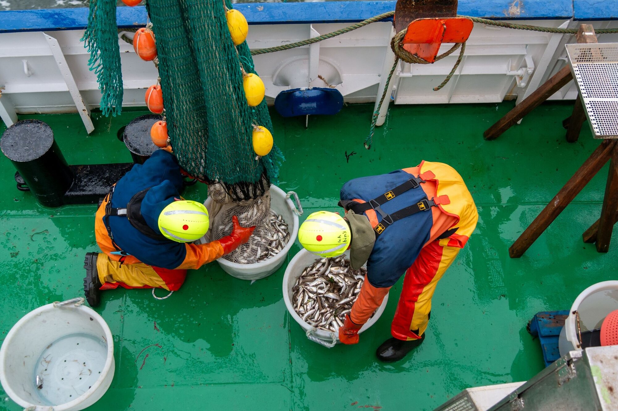 Der Fang wird in "Körbe" abgefüllt. Aus dem Netz wird der Fang in weiße Plastikwannen abgefüllt.