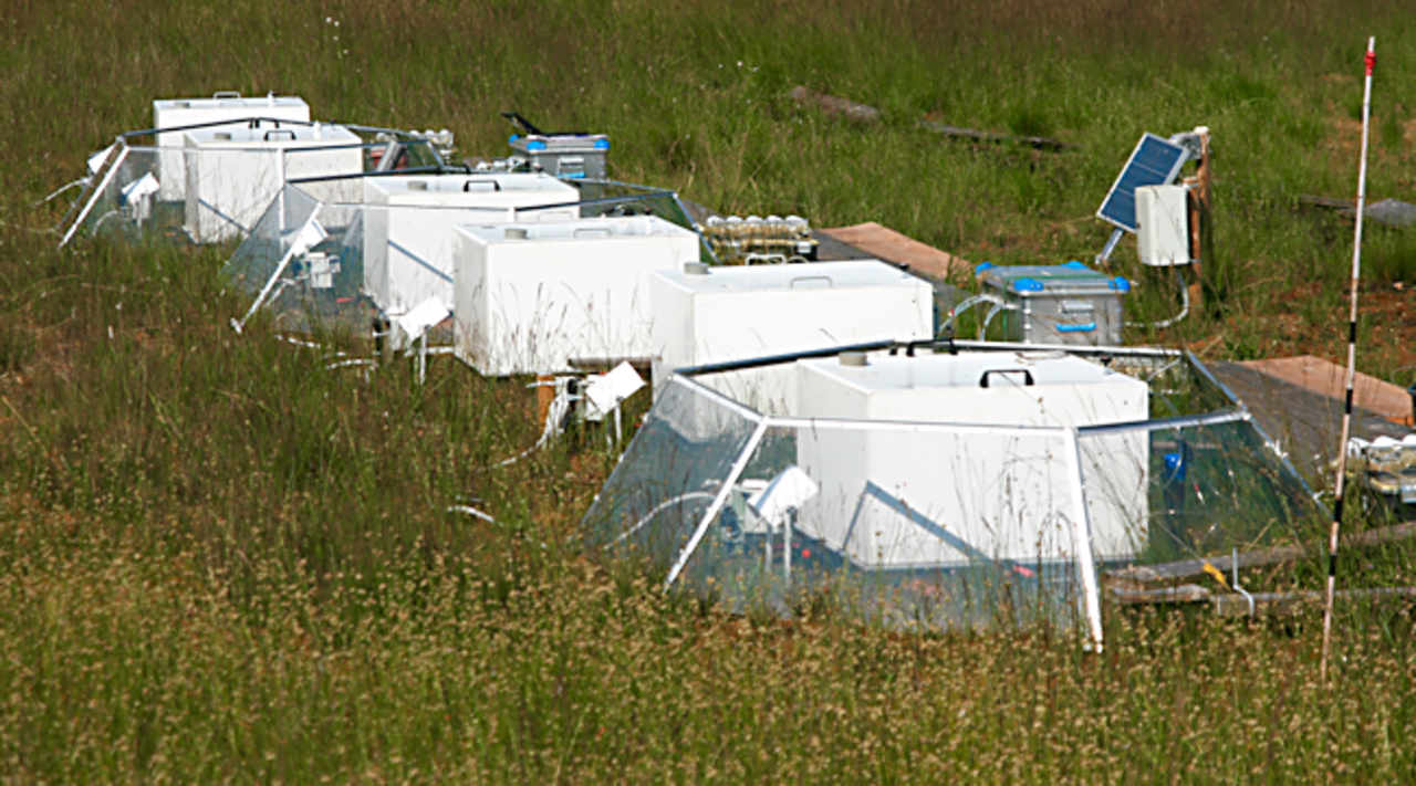 Measuring the greenhouse gas exchange at a Sphagnum cultivation site