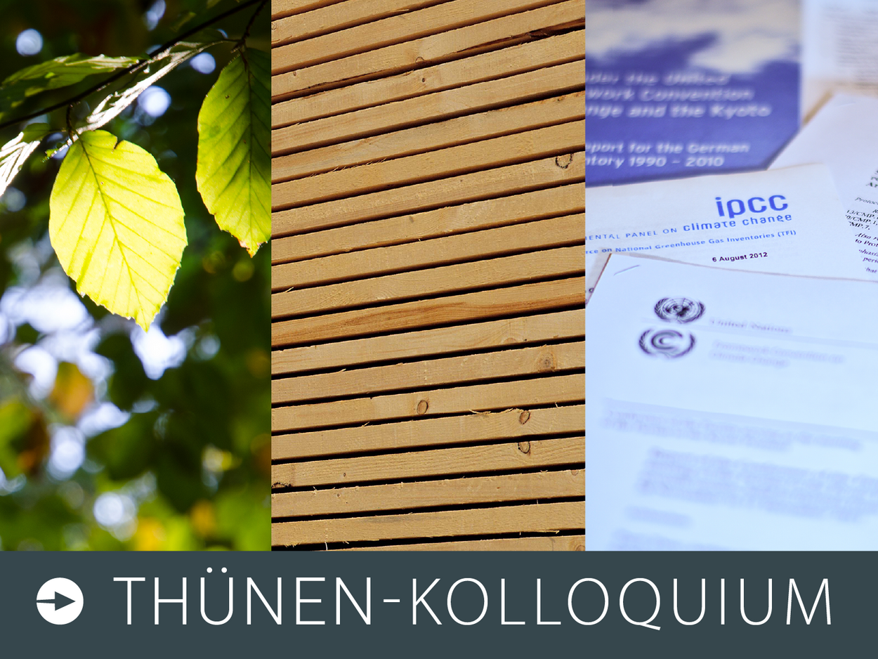 Treibhausgas-Bilanzen: Wie wird der Beitrag der Holzverwendung zum Klimaschutz berechnet? Ein dreigeteiltes Bild von rechts nach links: Buchenblätter, ein Holzstapel und ein Brief auf einem Schreibtisch.