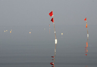 Stellnetzmarkierungen, so genannte Stöter, in der Ostsee