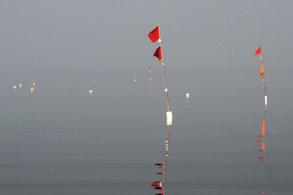 Stellnetzmarkierungen, so genannte Stöter, in der Ostsee