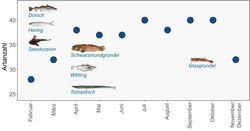 Wie sich die Küstenfischgemeinschaft im Jahresverlauf verändert