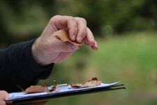 Drohnenvorführung Drohnenvorführung auf dem Institutsgelände - ein Mitarbeiter der Querschnittsgruppe zeigt die Flugbilder der Drohne auf dem Bildschirm