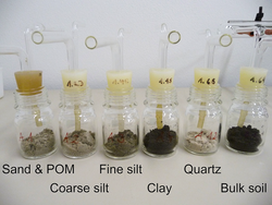 Soil microbial communities - microhabitats support diversity