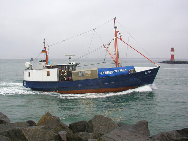 Die "Clupea" auf der Rückfahrt zum Heimathafen