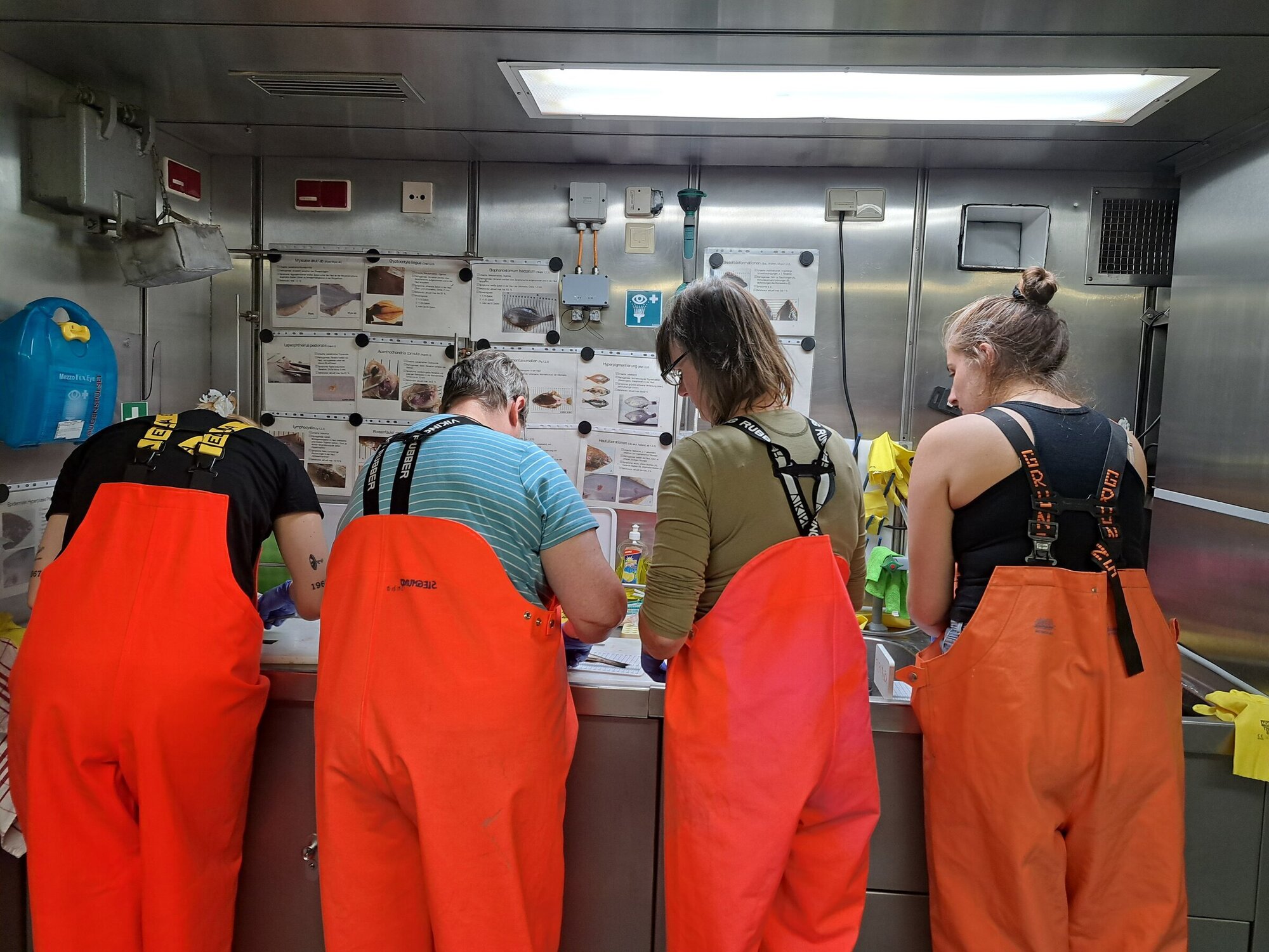 Four people in red work trousers sort the catch.