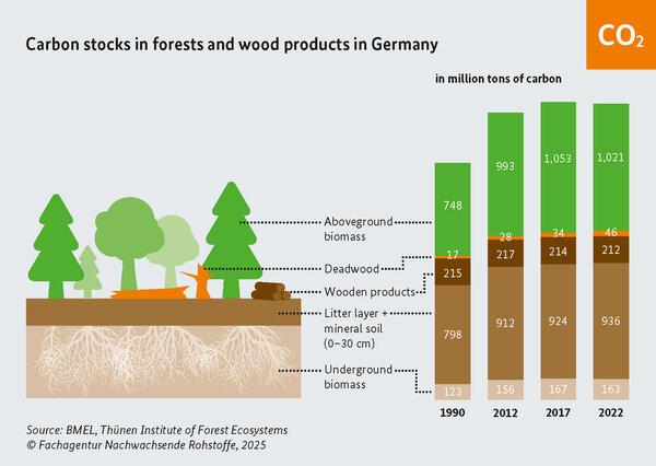 The graph shows how much carbon is stored in the forest, deadwood, wood products and soil for the years 1990, 2012, 2017 and 2022