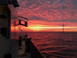 Auswirkungen erneuerbarer Offshore-Energien auf die europäische Fischerei