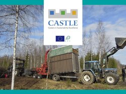 Unbeabsichtigte Konsequenzen betrieblicher Nachhaltigkeitsstrategien