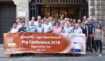 Pig Konferenz 2018 in Reggio Emilia, Italien