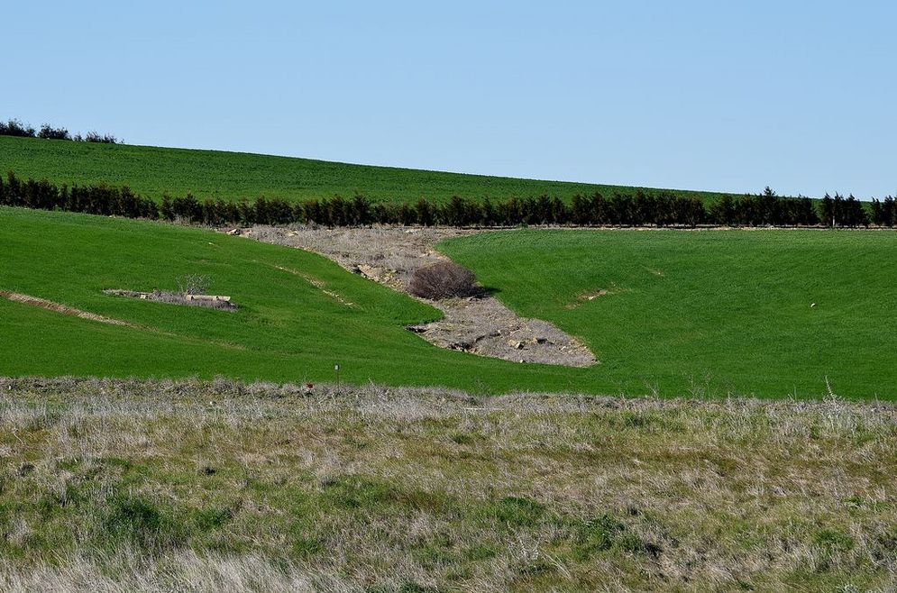Erosion gully in an arable plot