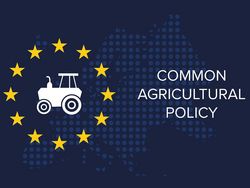 Reform der Gemeinsamen Agrarpolitik: eine unendliche Geschichte