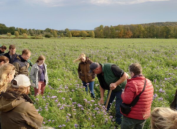 Exkursion auf einer Maßnahmenfläche mit Zwischenfruchtanbau im Landschaftslabor Elm