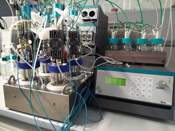 Klicken für eine Vergrösserung Das Box