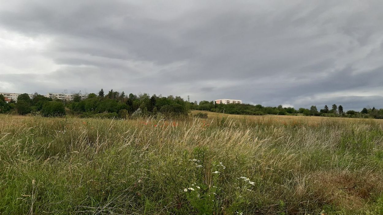 Prefabricated building district in the background of a meadow
