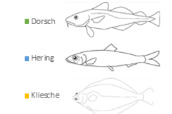 Basisdaten: Blei im Meeresfisch