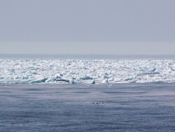 Walther Herwig III, 467. Reise