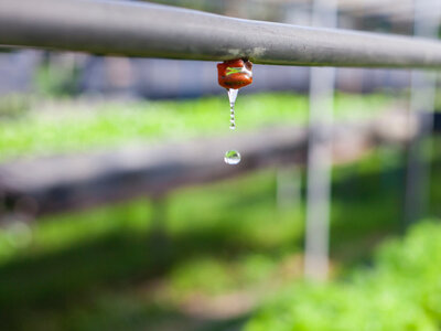 An einem Rohr für die Tröpfchenbewässerung hängt ein Tropfen Wasser und das Logo für den Themenschwerpunkt Wasser.