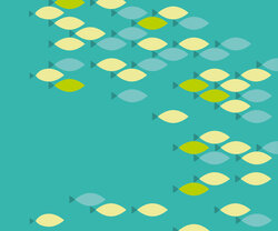 The signicficance of climate change for the oceans and the fisheries