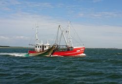 Self-management in the brown shrimp fishery (CRANMAN)
