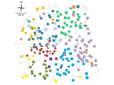Die Grafik zeigt verschiedenfarbige Kreise, die Bäume und deren Familien