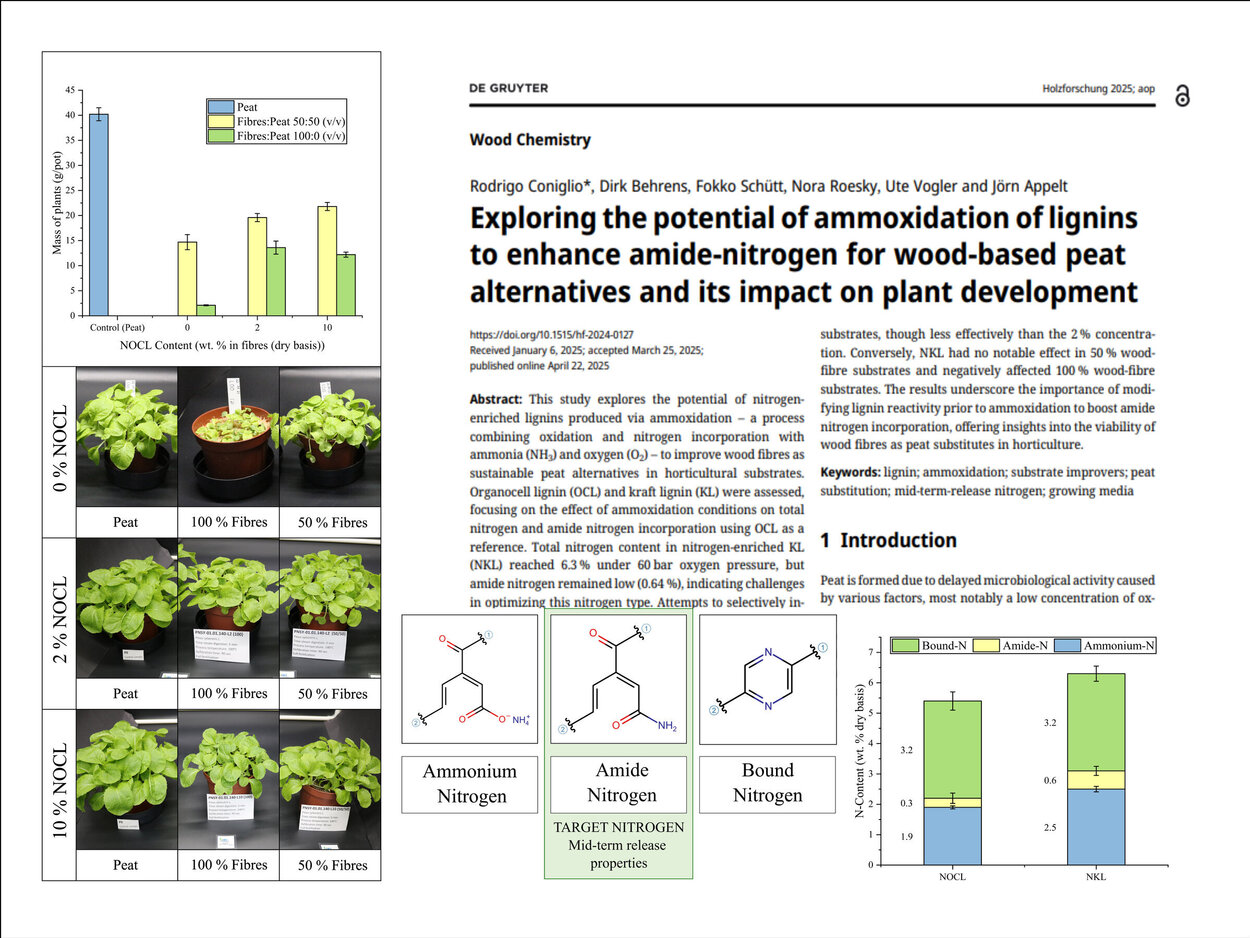 Darstellung des Artikels im Journal