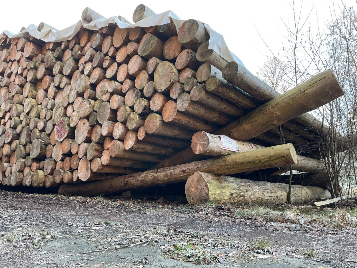 Ein Stapel von Fichtenholzstämmen