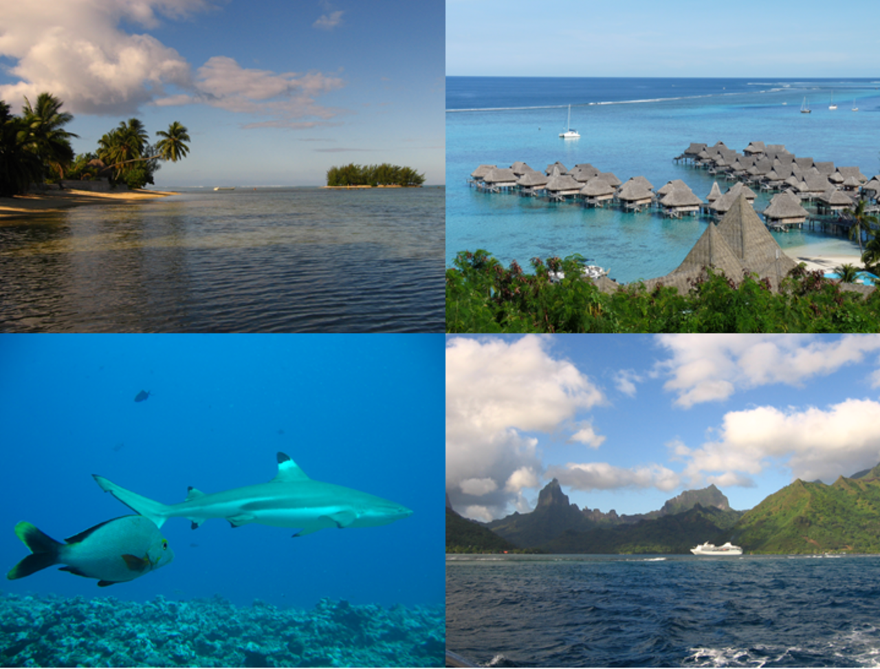 Impressionen Umgebung von Korallenriffen