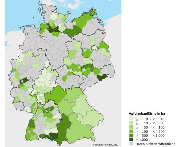 Deutschlandkarte, die zeigt, in welchen Landkreisen die höchsten Apfelanbauflächen liegen.