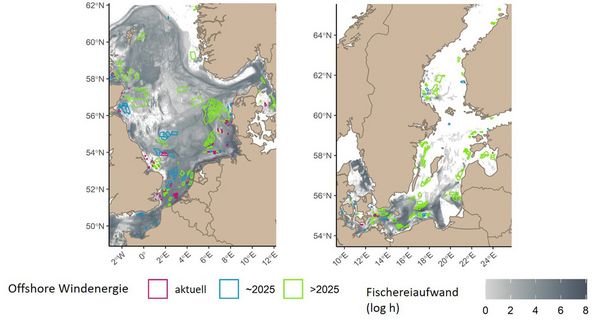 Die Karten zeigen den Nutzungskonflikt zwischen Fischerei und Windkraft mit farbigen Flächen