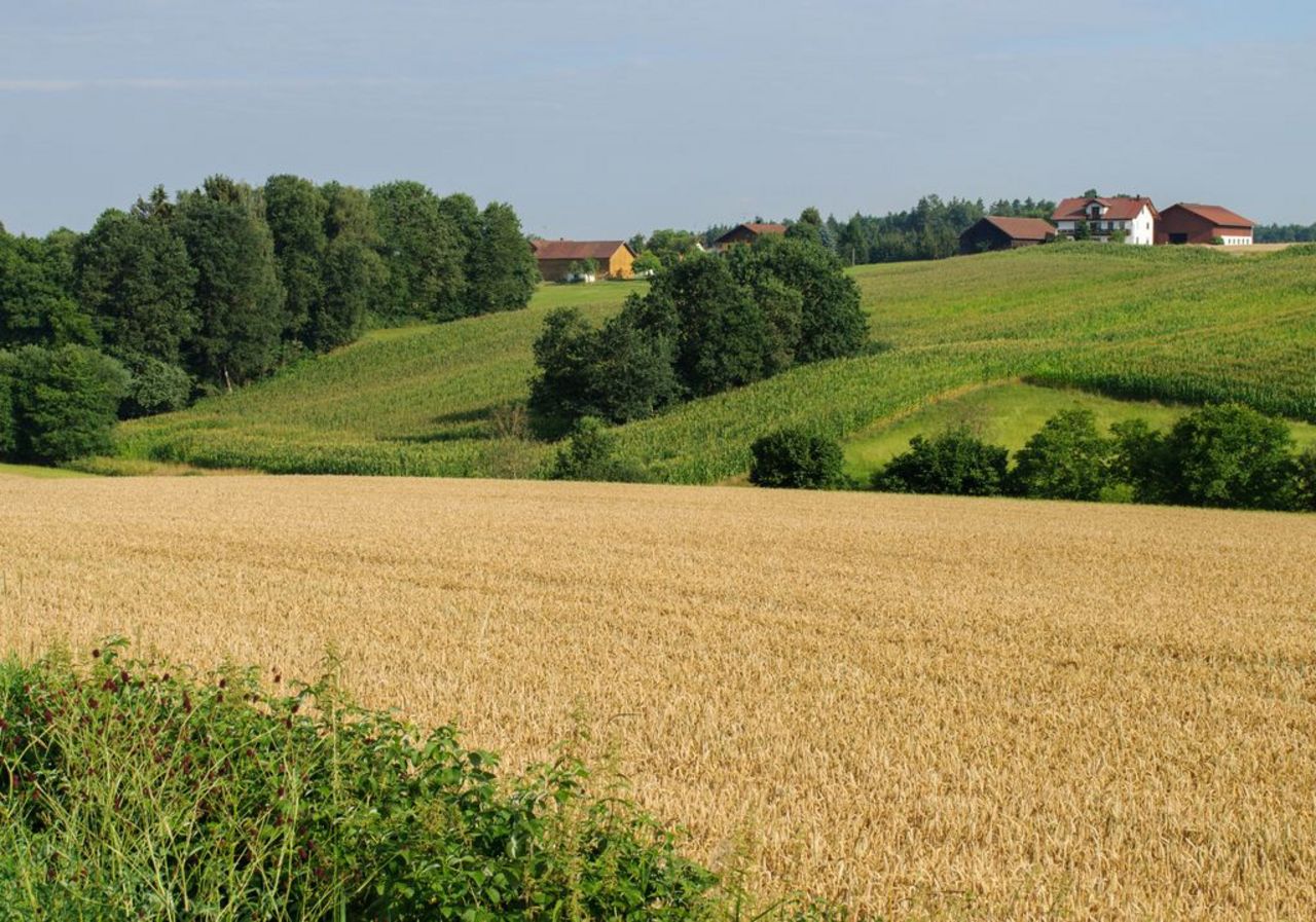Agricultural landscape in Lower Bavaria