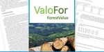 Lettering ValoFor - Forest Value; in the background an aerial view of a forest and a small section of a wooden pole