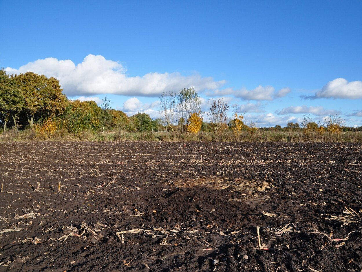 Ackerbrache in Norddeutschland