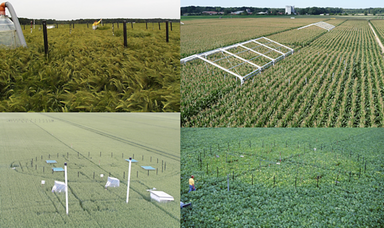 Operation of the free air CO2 enrichment (FACE) system at the experimental field of the Thünen-Institute with different crop species