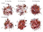 The prokaryotic co-occurrence network structure is affected by crop diversification at a moderate N fertilization of 150 kg nitrogen per hectare.