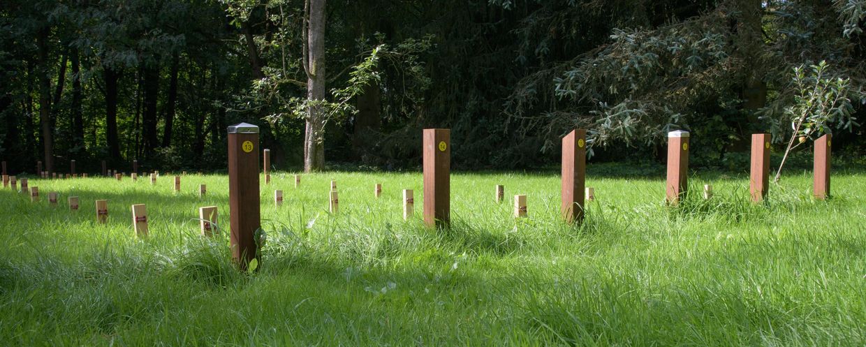 Holzpfähle im Boden auf dem Prüffeld in Hamburg-Bergedorf