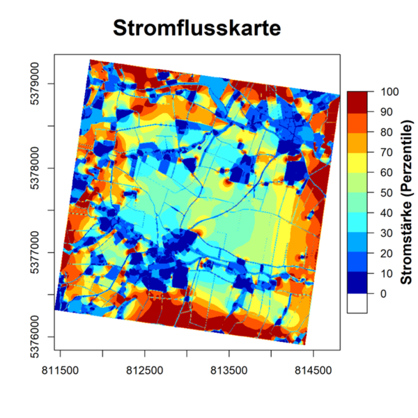 Modelling of species specific connectivity (program Circuitscape), here: epigeic arthropods such as ground beetles