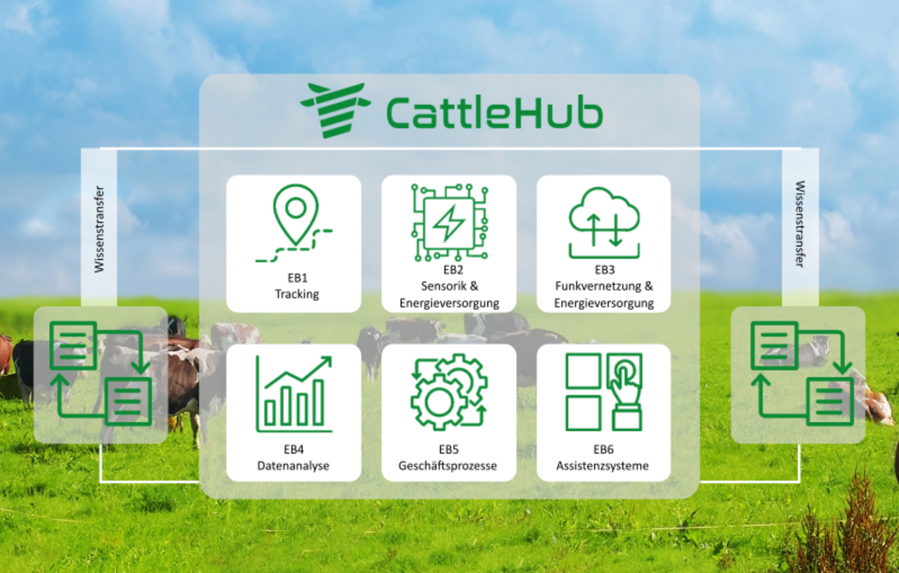 Experimentierfeld „CattleHub“ aufgeteilt in sechs Experimentierbereiche