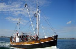 Das Miteinander von Aquakultur, Fischerei und anderen Aktivitäten im Küstenmeer (COEXIST)