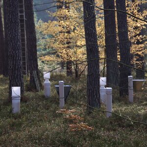 [Translate to English:] 