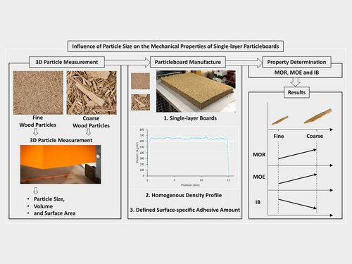 Investigation on the influence of particle size on the properties of particleboard