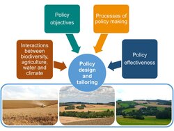 Design-Kriterien zur gezielten Lenkung von Agrar- und Biodiversitätspolitiken (DETAIL)