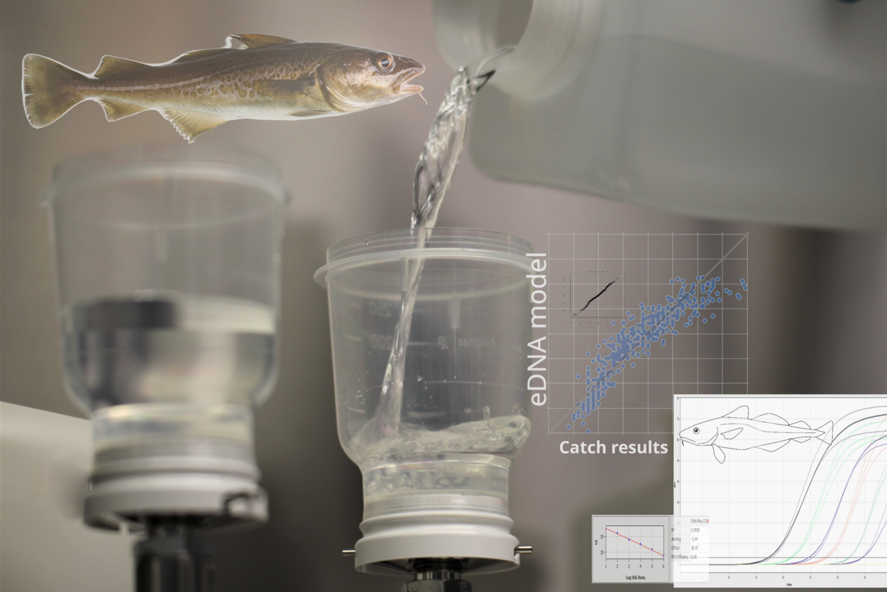 Laborszene und Ergebnisgrafik