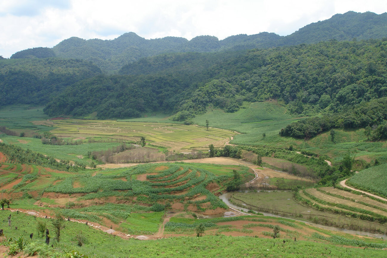 Landschaft mit Weide, Acker und Wald