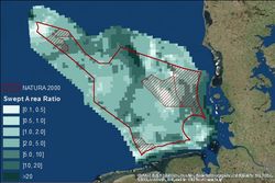 NOAH2: North Sea - Observation and Assessment of Habitats