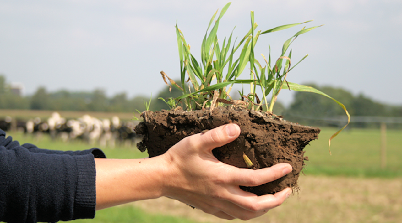 Ihr Boden – bei uns in guten Händen!