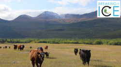 Land use change on thawing permafrost soils