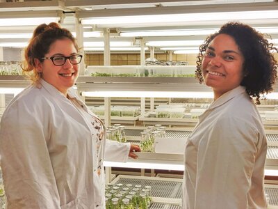 Zwei Wissenschaftlerinnen im Gewebekultur-Labor 