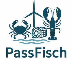 Nachhaltige passive Fischerei in der südlichen Nordsee (PassFisch)